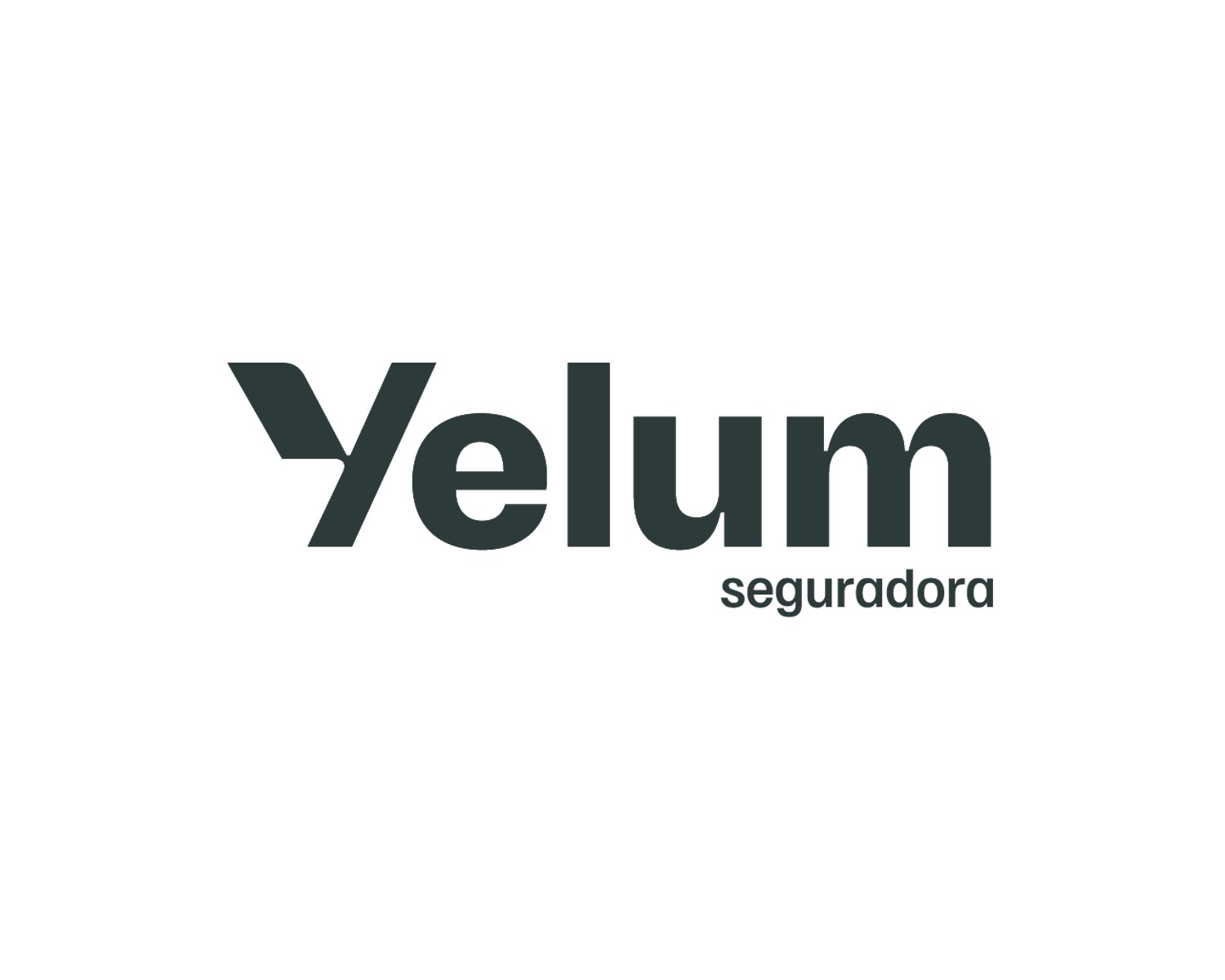 Logo Yelum Seguradora